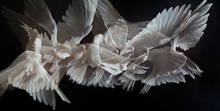 armenian cultural center concept - inspiration